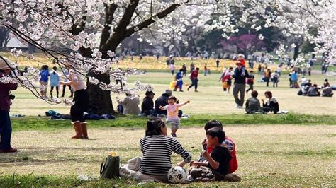 玉合公園怎麼樣 誰說玉合公園只有賞花的景緻